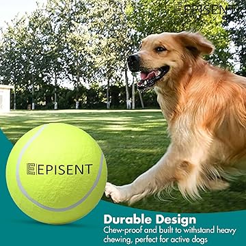 EPISENT Tennis Balls | Ideal for Sports, Practice, Pet Play, Dog Training, Throwing Machine & All Court Types | Includes Mesh Carrying Bag